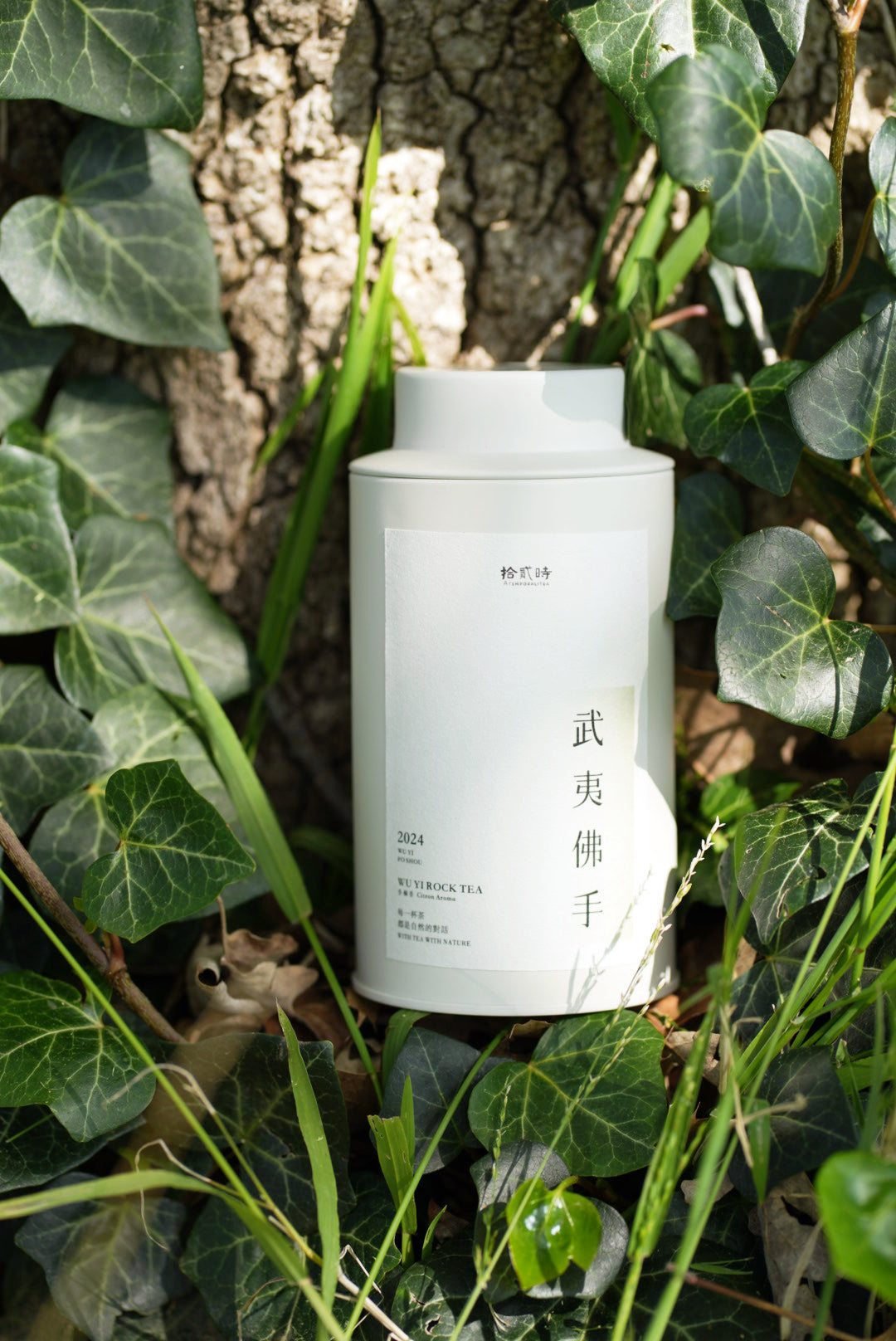 武夷佛手 Wuyi Foshou